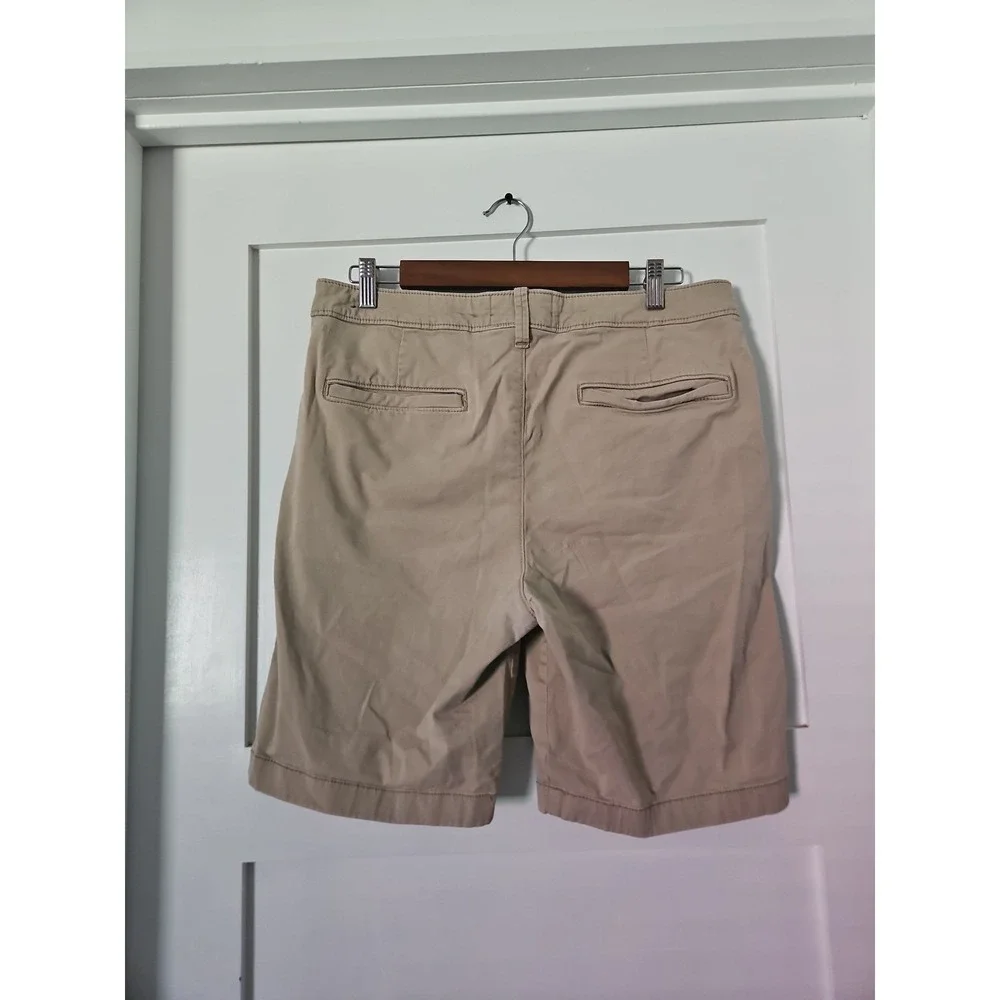 Hollister brand size